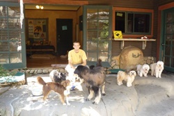 pet resort and dog boarding in santa barbara california