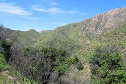 rattlesnake canyon trails and dog parks in santa barbara